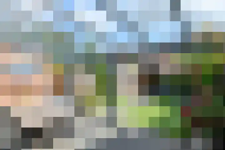 de Flier 3811 Wijchen thumbnail 32