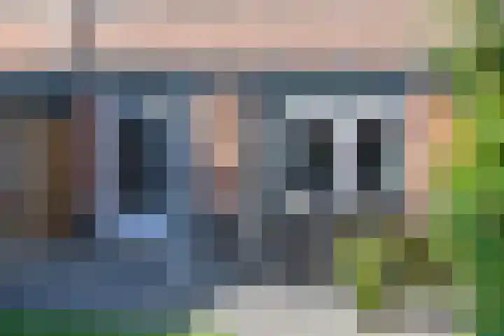 de Flier 3811 Wijchen thumbnail 36