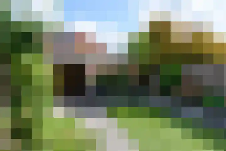 de Flier 3811 Wijchen thumbnail 37