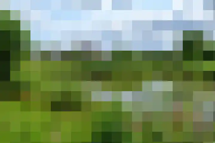 de Flier 3811 Wijchen thumbnail 40