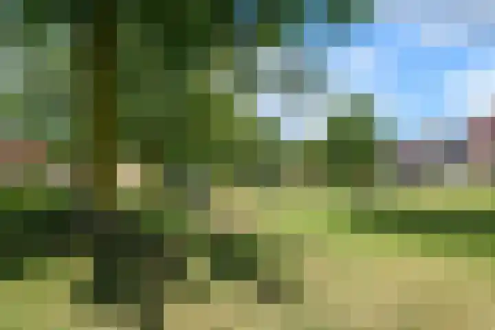 de Flier 3811 Wijchen thumbnail 41