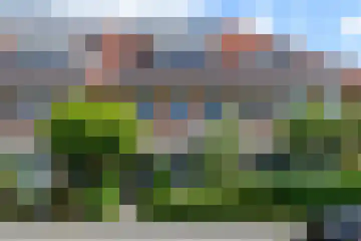 de Flier 3811 Wijchen thumbnail 42