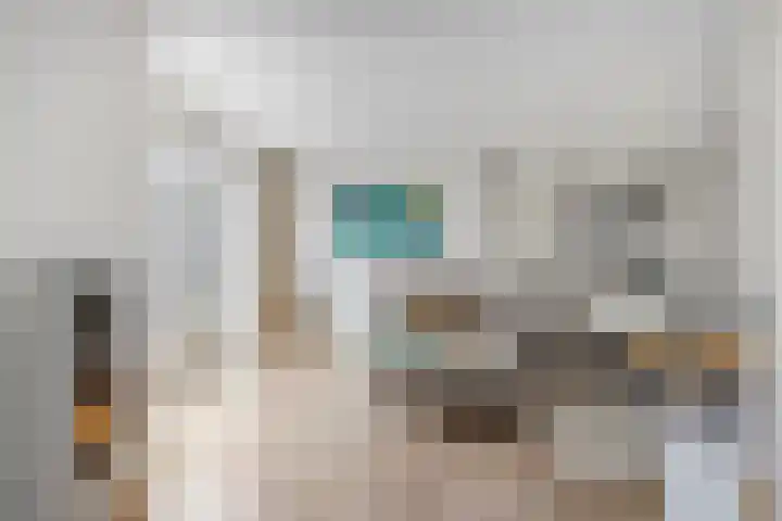 de Flier 3840 Wijchen thumbnail 11