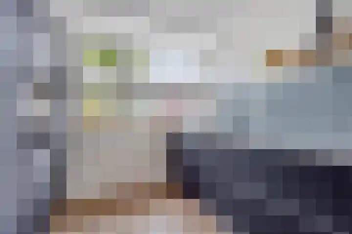 de Flier 3840 Wijchen thumbnail 15