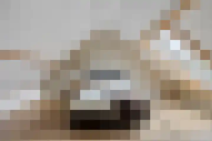 de Flier 3840 Wijchen thumbnail 31