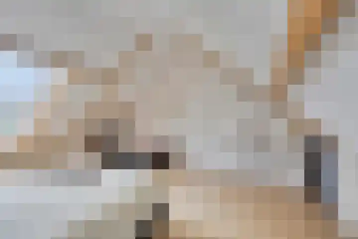 de Flier 3840 Wijchen thumbnail 32