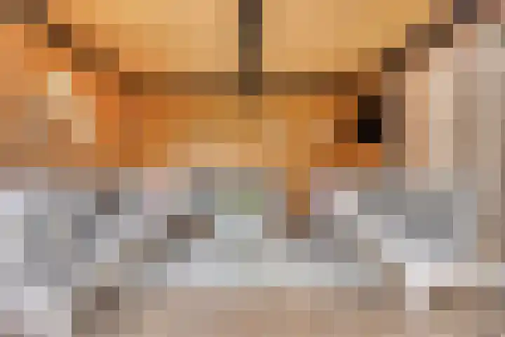 de Flier 3840 Wijchen thumbnail 39