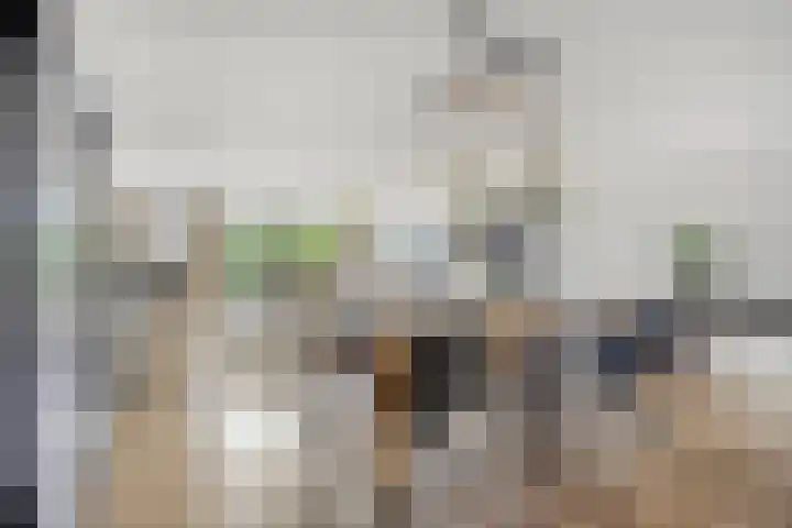 de Flier 3840 Wijchen thumbnail 4