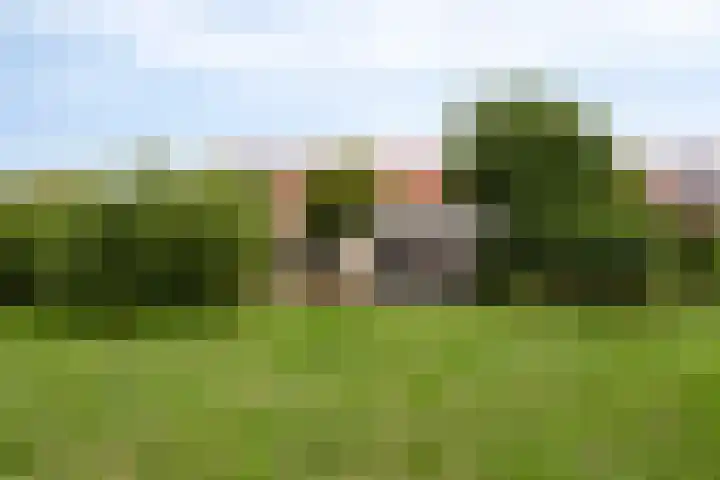 de Flier 3840 Wijchen thumbnail 40