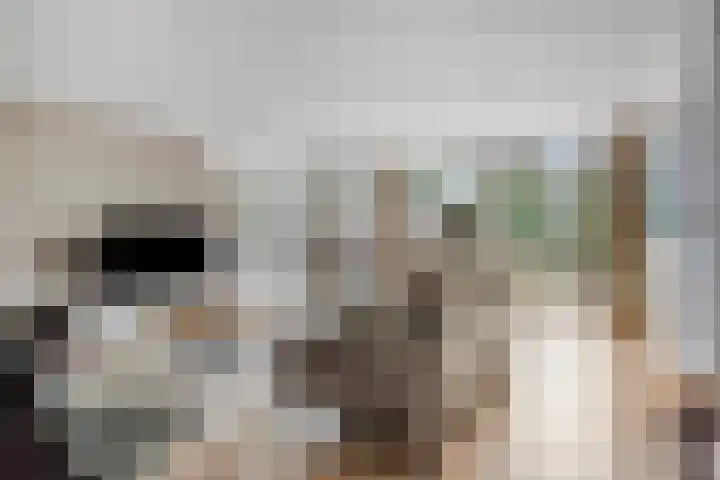 de Flier 3840 Wijchen thumbnail 6