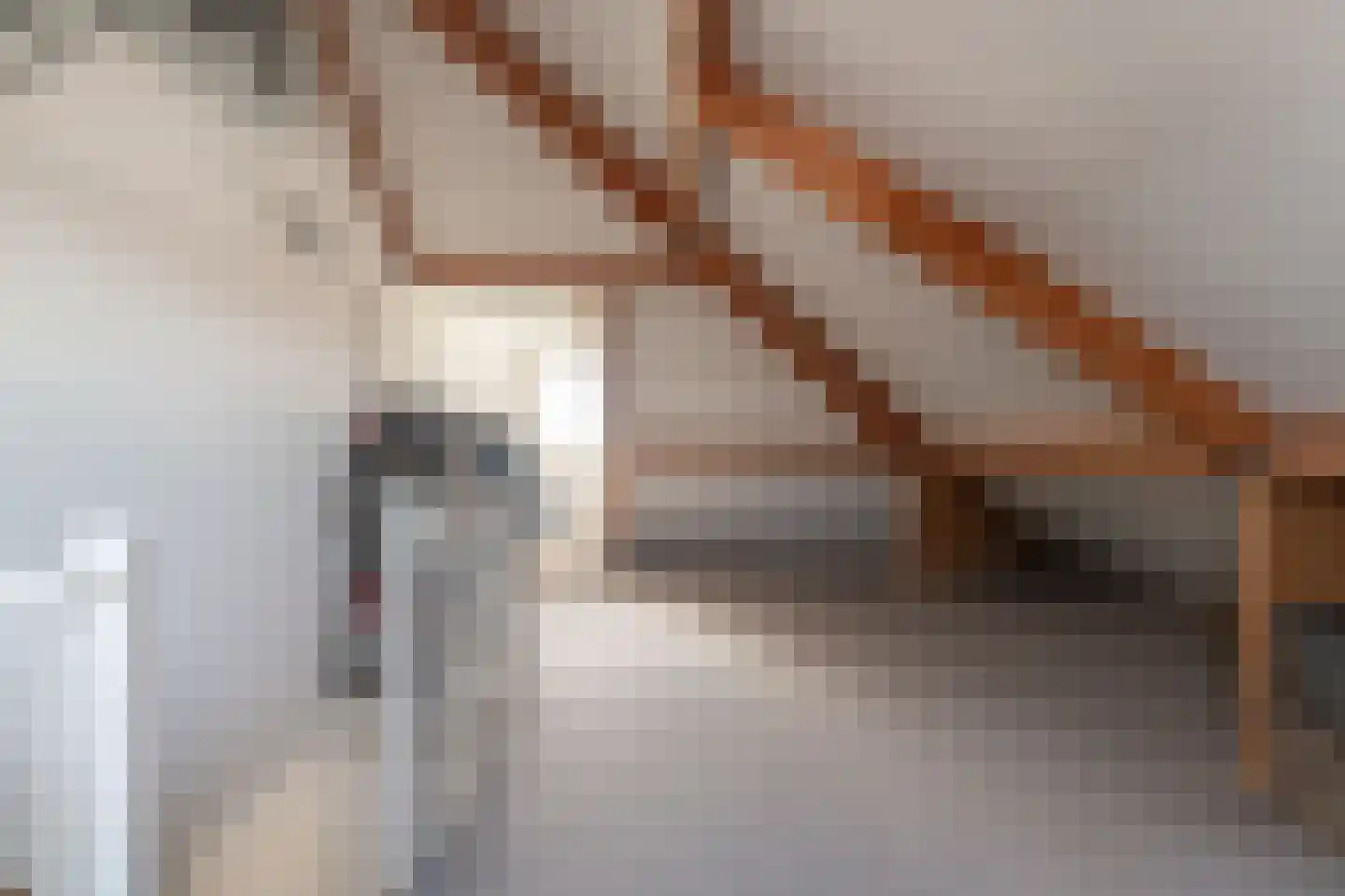 de Flier 3941 Wijchen thumbnail 26