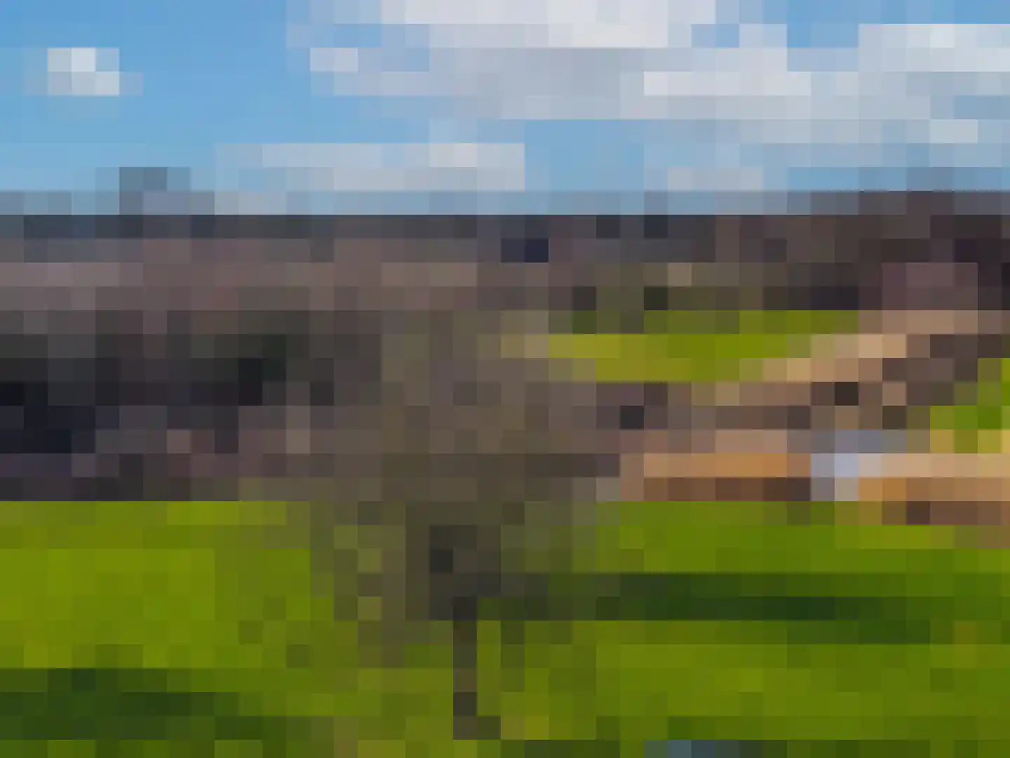 de Flier 3941 Wijchen thumbnail 29