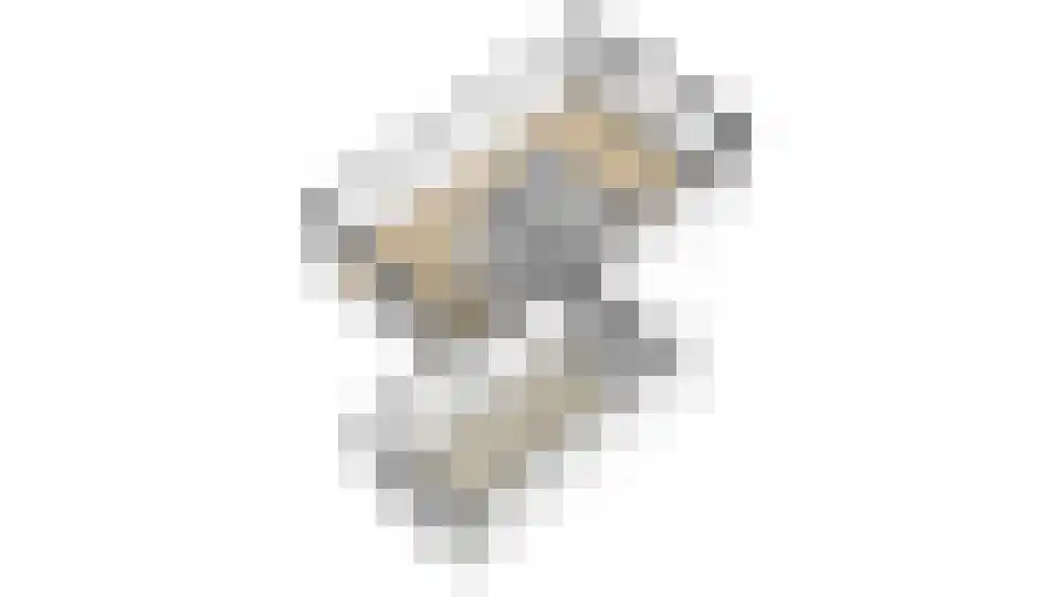 de Flier 3941 Wijchen thumbnail 35