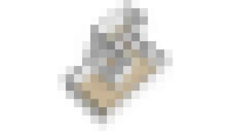 de Flier 3941 Wijchen thumbnail 36