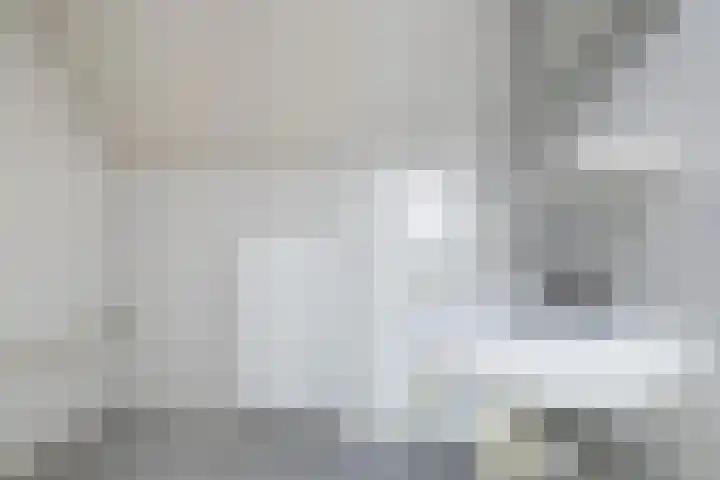 De Flinten 7 Koekange thumbnail 11