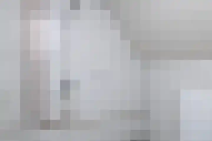 De Flinten 7 Koekange thumbnail 12