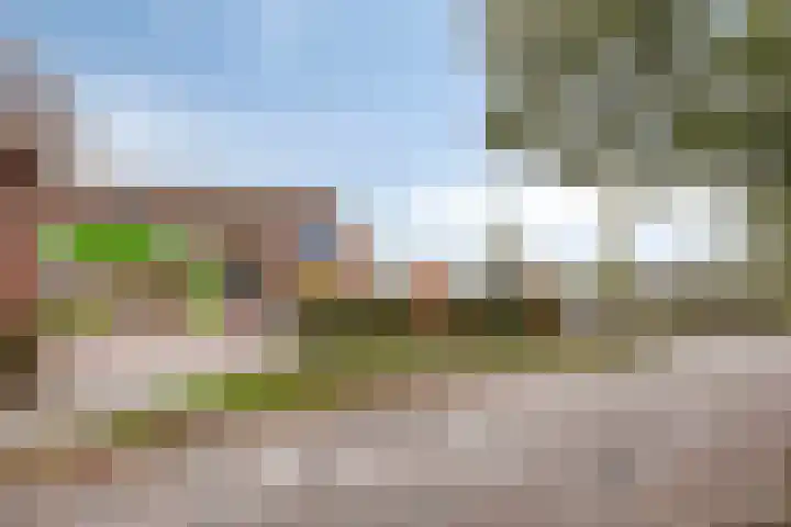 De Flinten 7 Koekange thumbnail 15