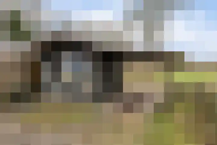 De Flinten 7 Koekange thumbnail 15