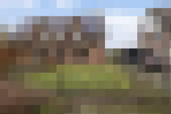De Flinten 7 Koekange foto 2