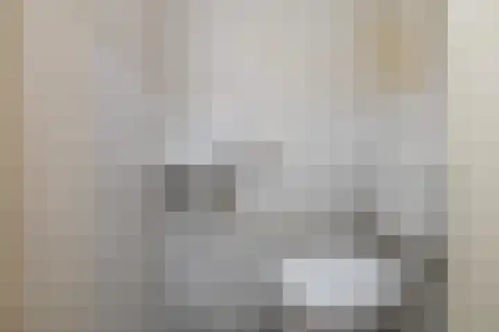 De Flinten 7 Koekange thumbnail 7