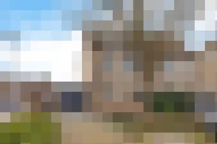 De Fluite 60 in Warnsveld