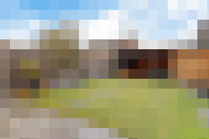 De Fluite 60 Warnsveld thumbnail 37