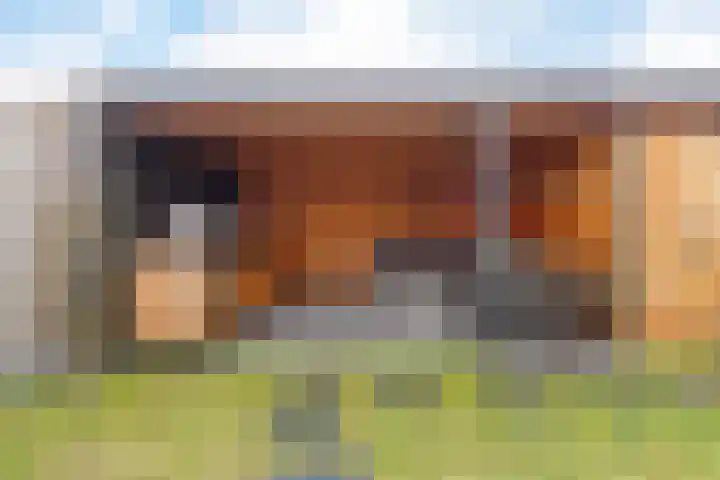 De Fluite 60 Warnsveld thumbnail 38