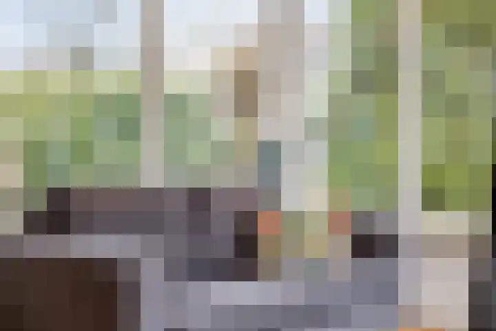 De Fluite 84 Warnsveld thumbnail 11