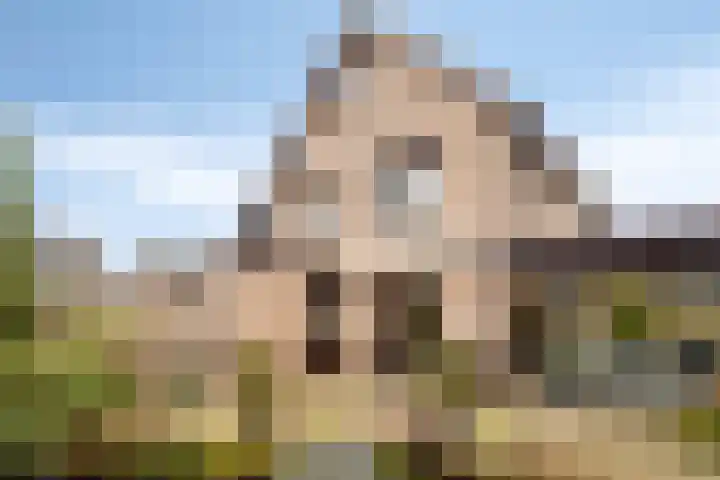 De Fluite 84 Warnsveld thumbnail 36