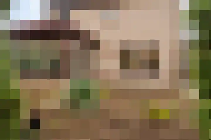 De Fluite 84 Warnsveld thumbnail 37