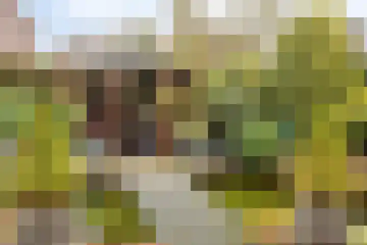 De Fluite 84 Warnsveld thumbnail 39