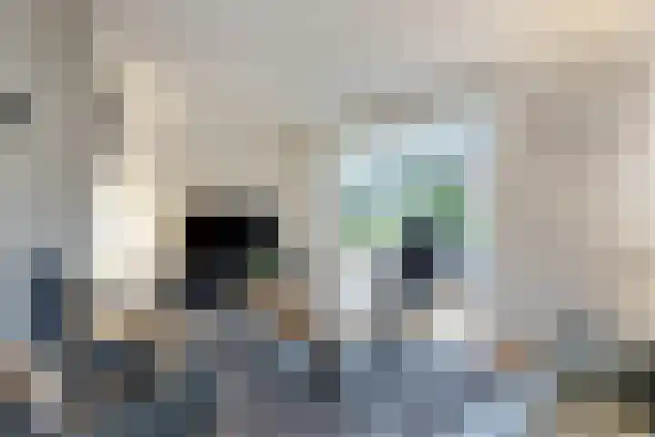 De Fluite 84 Warnsveld thumbnail 4