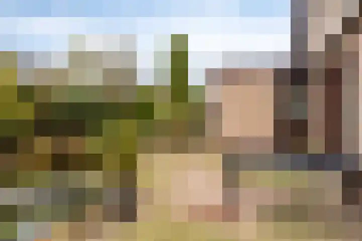 De Fluite 84 Warnsveld thumbnail 40