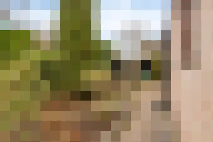 De Fluite 84 Warnsveld thumbnail 41
