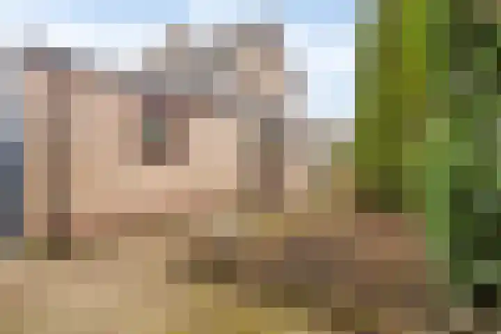 De Fluite 84 Warnsveld thumbnail 42