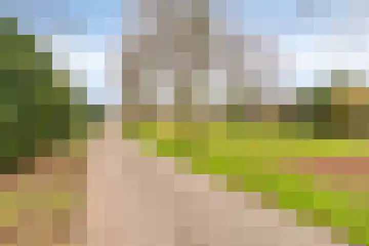 De Fluite 84 Warnsveld thumbnail 44