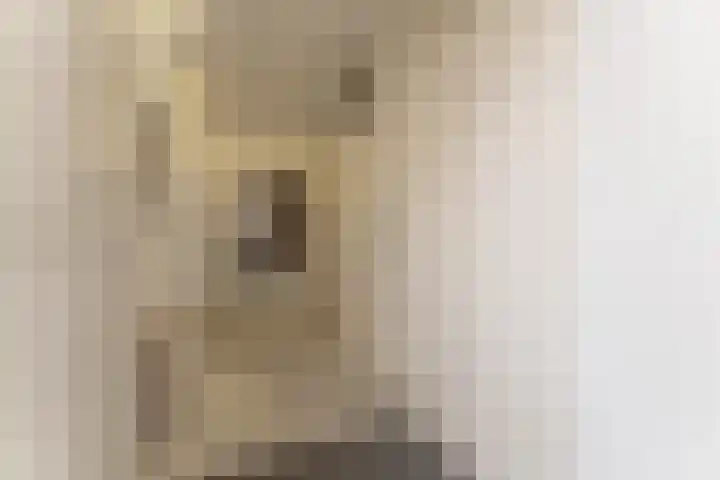 De Fluter 10 Hoogkarspel thumbnail 11