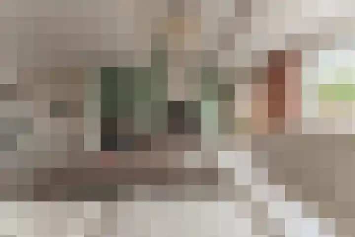 De Fluter 10 Hoogkarspel thumbnail 15