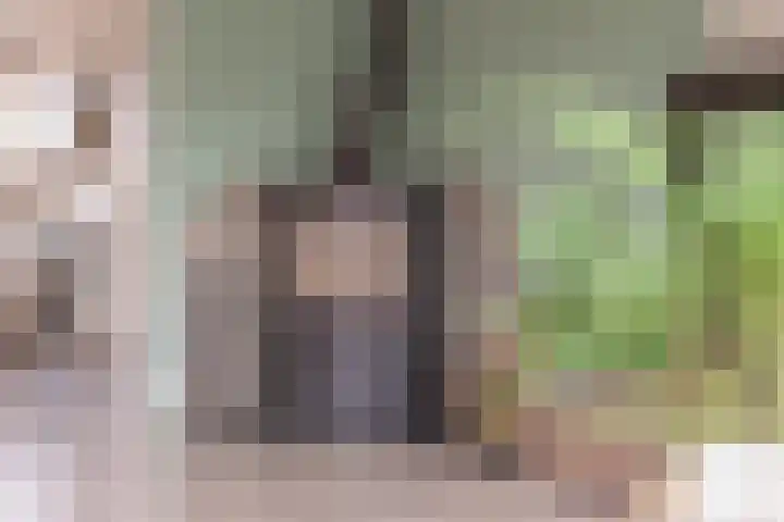 De Fluter 10 Hoogkarspel thumbnail 16