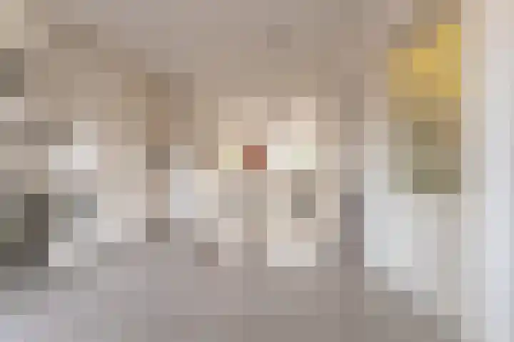 De Fluter 10 Hoogkarspel thumbnail 19