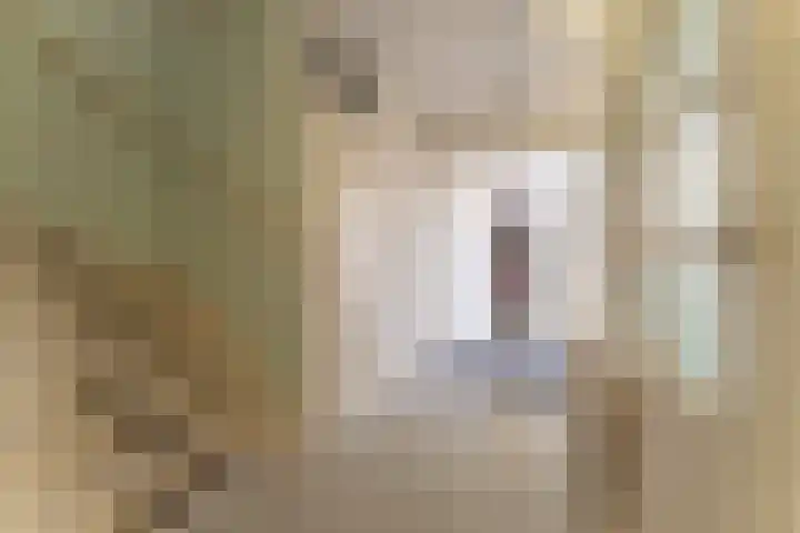 De Fluter 10 Hoogkarspel thumbnail 26