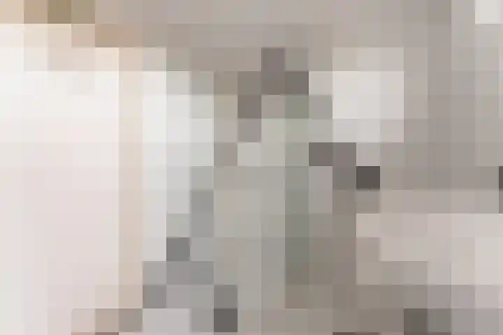 De Fluter 10 Hoogkarspel thumbnail 31