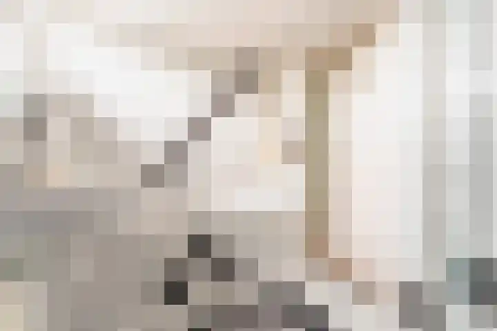 De Fluter 10 Hoogkarspel thumbnail 32