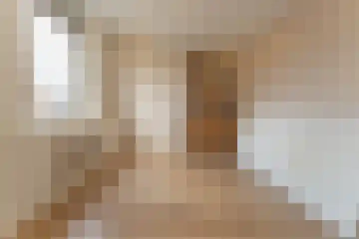 De Fluter 10 Hoogkarspel thumbnail 34