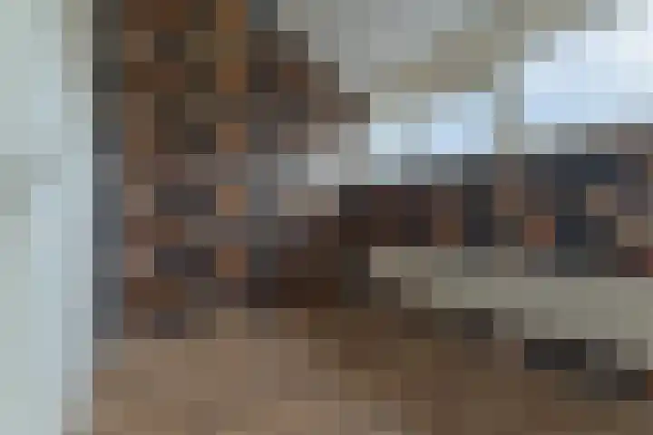 De Fluter 10 Hoogkarspel thumbnail 36