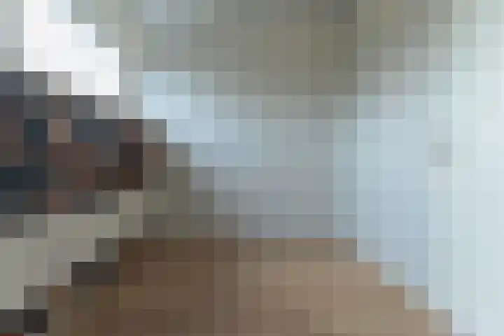 De Fluter 10 Hoogkarspel thumbnail 37