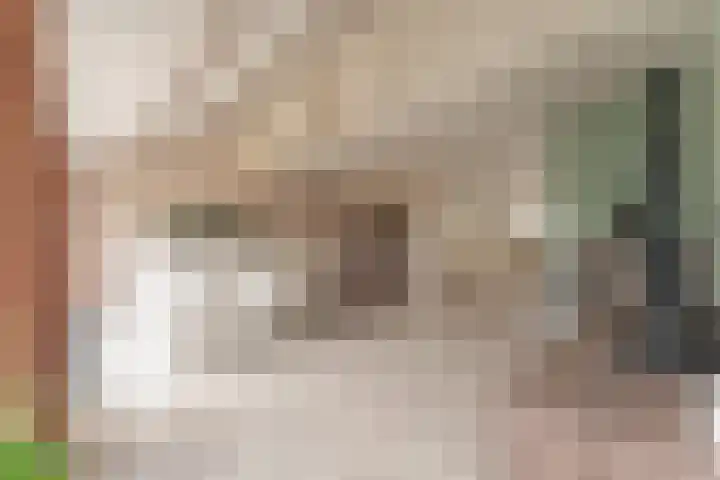 De Fluter 10 Hoogkarspel thumbnail 4