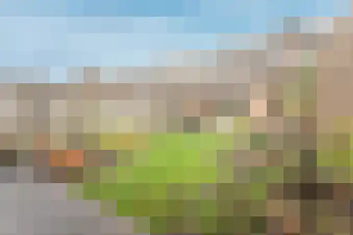 De Fluter 10 Hoogkarspel thumbnail 43