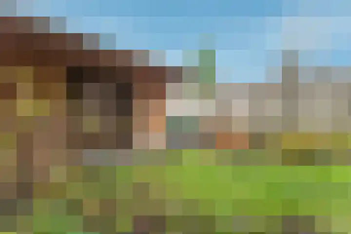 De Fluter 10 Hoogkarspel thumbnail 44