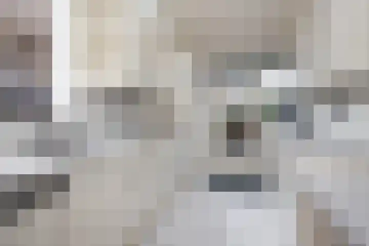 De Fluter 11 Hoogkarspel thumbnail 12